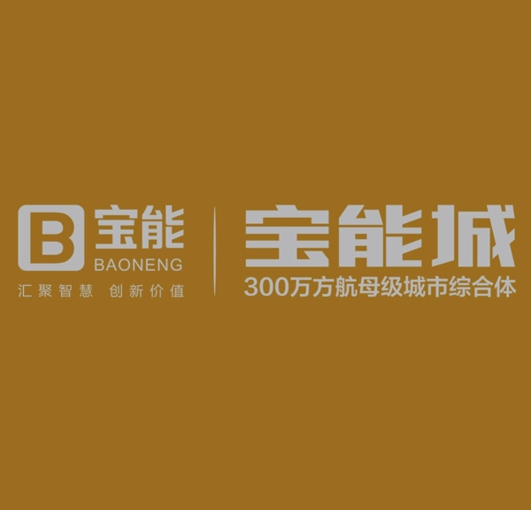 宝能城logo