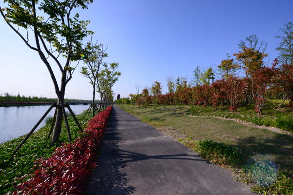 上海迪士尼护城河滨河景观