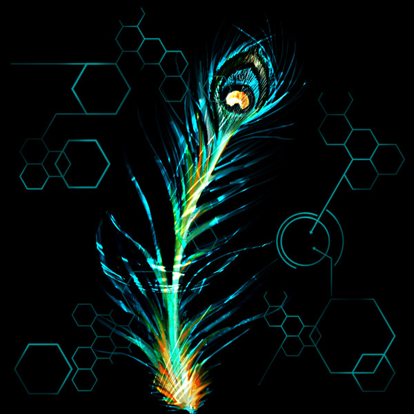 孔雀羽毛技术