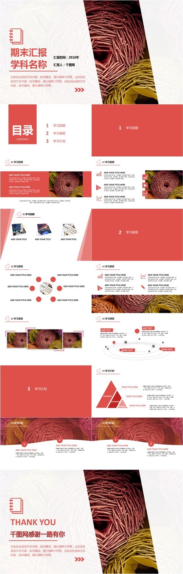 学科汇报总结模板