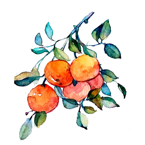 橘子橙子柑桔美味维生素春夏PNG