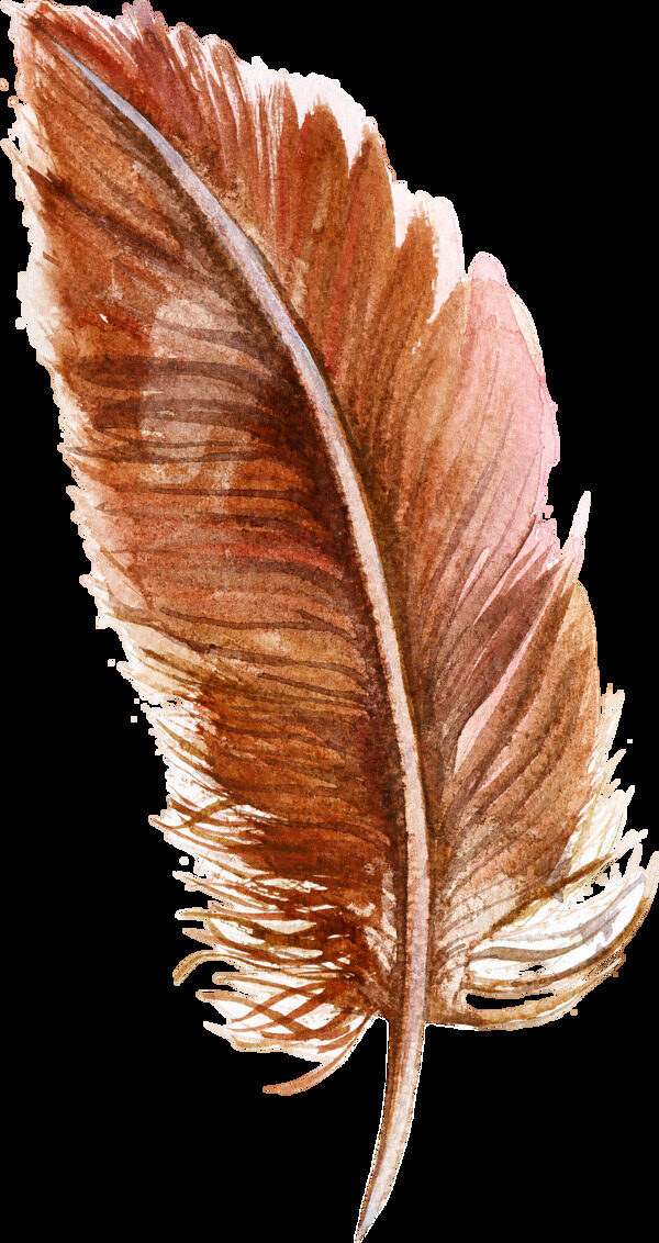 棕色羽毛卡通透明素材