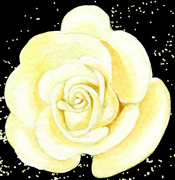 手绘玫瑰馒头透明素材png