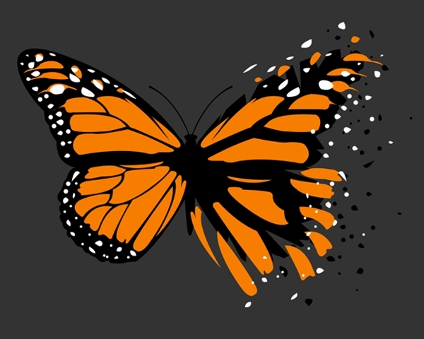 位图插画动物蝴蝶色彩免费素材