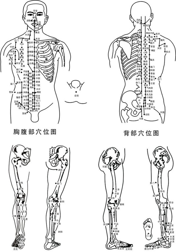 腹部背部上下肢穴位图图片