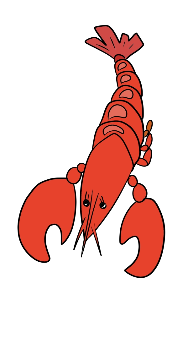 可爱的龙虾装饰插画