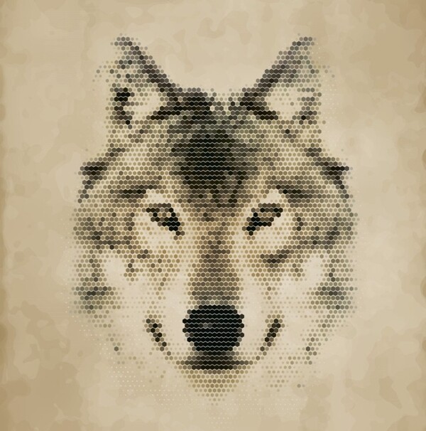 动物头像狼图片