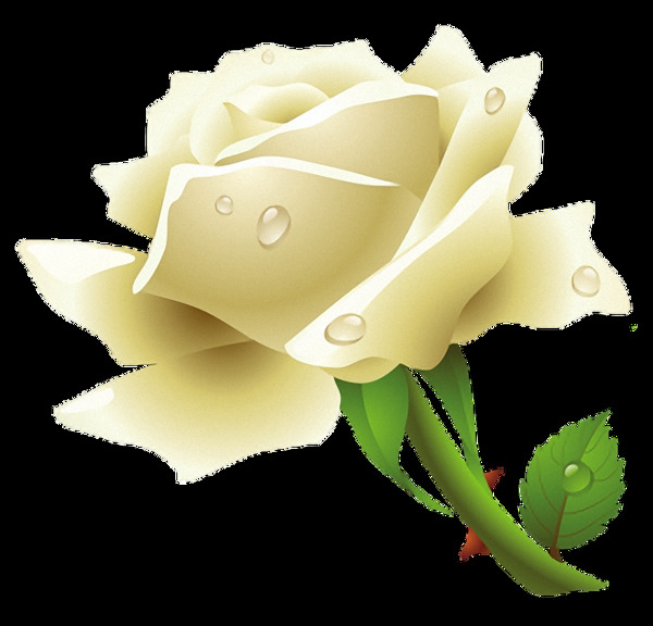 一朵绿叶白玫瑰免抠png透明图层素材