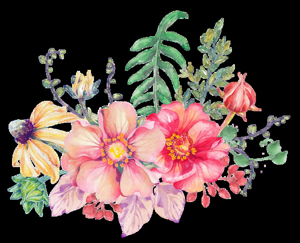 茂盛花卉卡通透明素材
