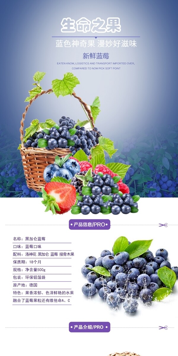 蓝莓淘宝水果内页设计