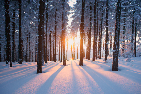 冬日阳光图片