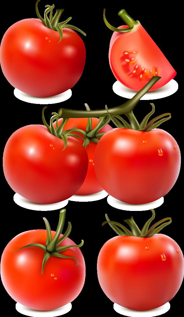 新鲜西红柿插图免抠png透明图层素材
