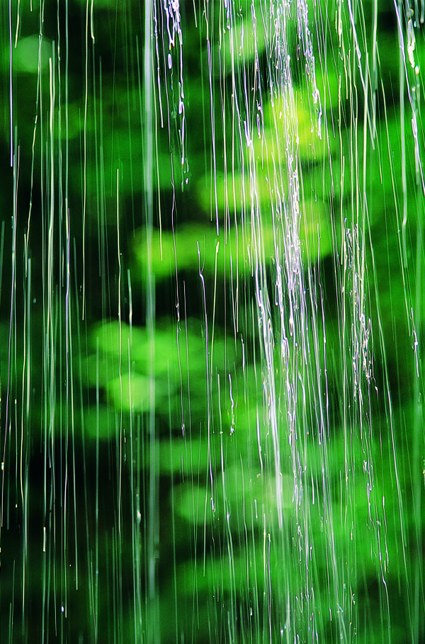 雨水图片