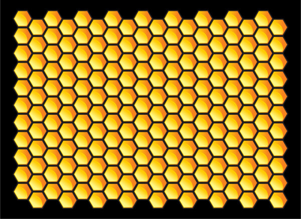 蜜蜂蜂巢矢量素材