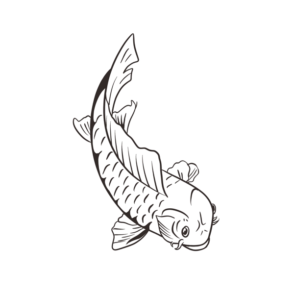 金鱼锦鲤手绘黑白素材