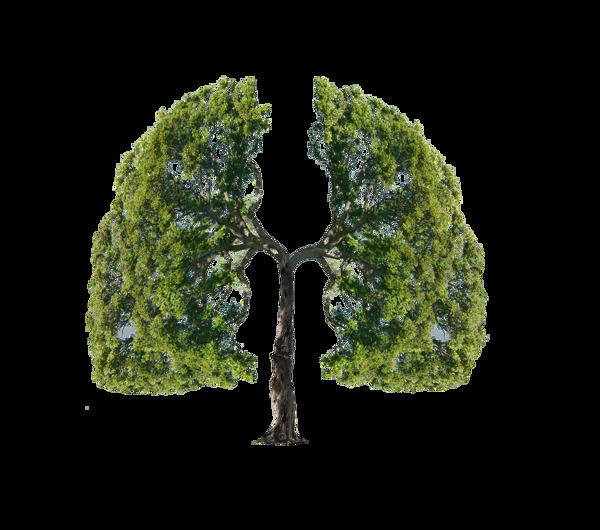 绿色肺