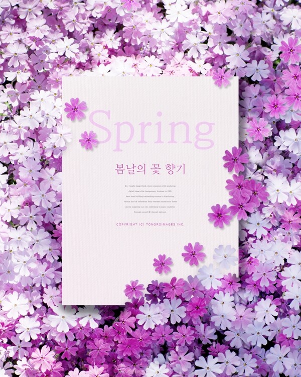 韩式唯美纸色花朵海报模板设计