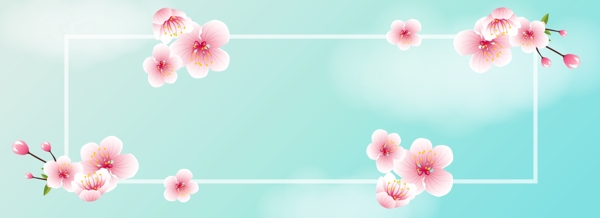 春季上新樱花节banner