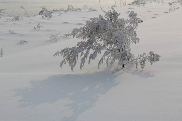 雪景图片