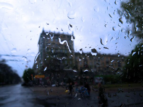 雨中水滴图片