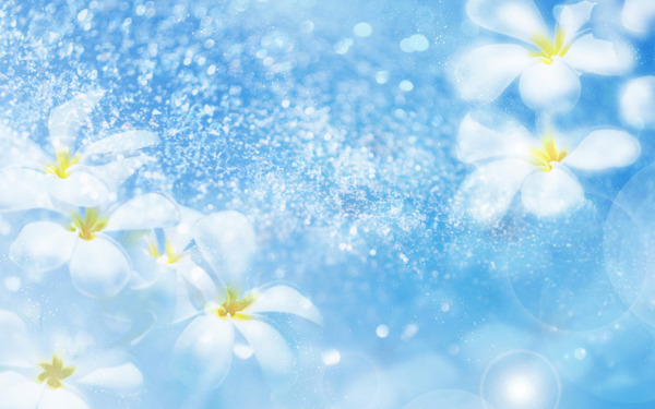 蓝色淡雅花朵背景图