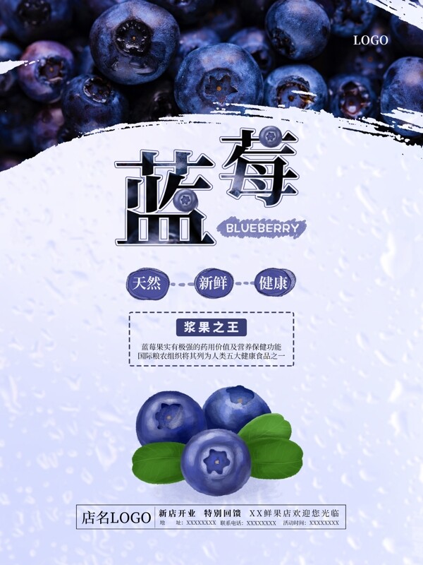 蓝莓水果美食海报