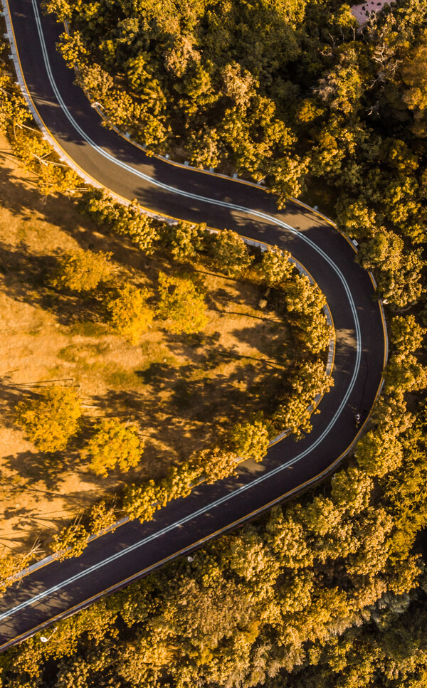 秋季公路森林俯视背景素材