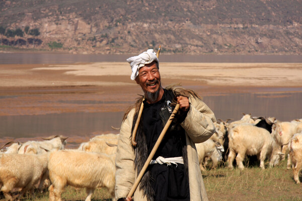 黄河牧羊人图片