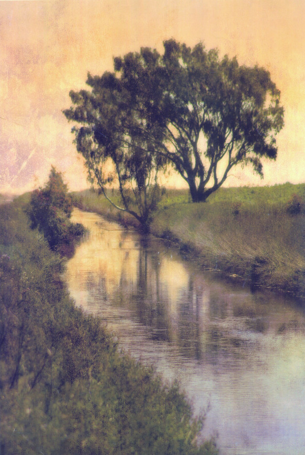 风景油画河边的树