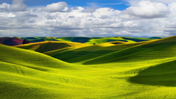 草地山丘风景图片