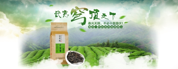 春季武夷茶叶中国风清新自然