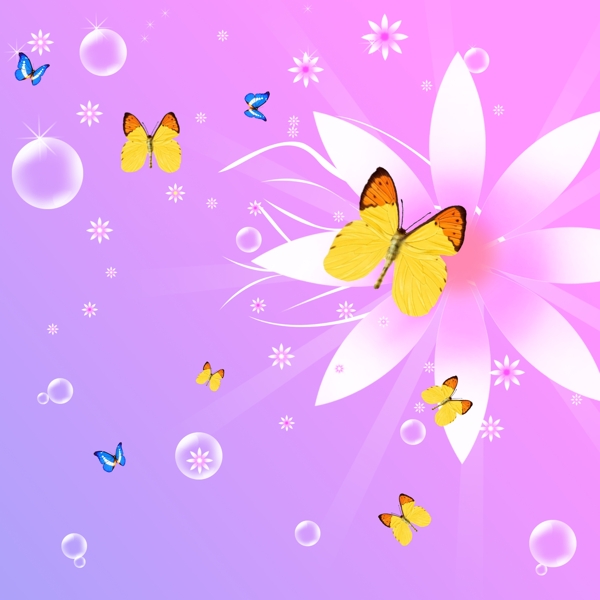 蝴蝶花纹壁纸图片