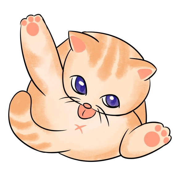 可爱的橘色小猫图片
