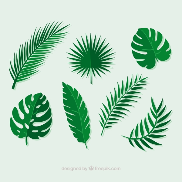 不同形状绿色棕榈叶矢量设计素材