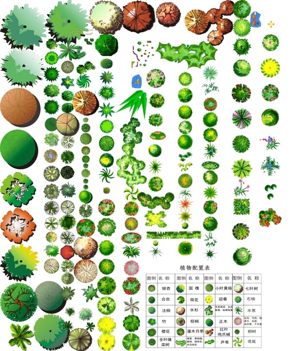 平彩图植物手绘高清素材