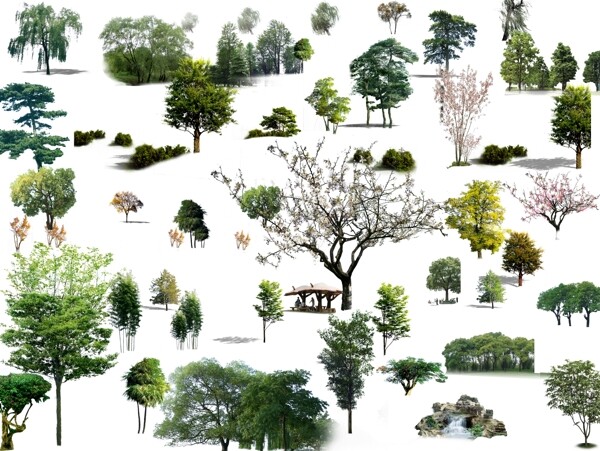 各种树木素材图片