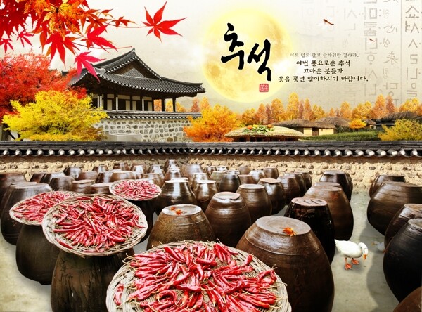 韩国泡菜素材