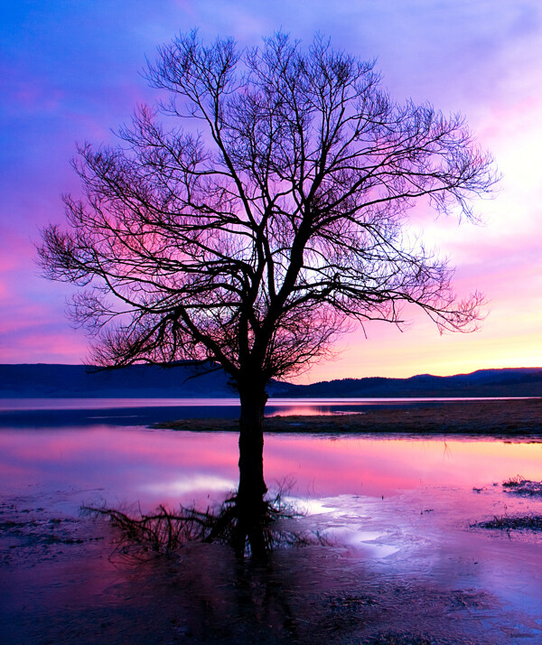 黄昏时的湖面美景图片