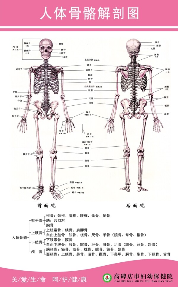 医院展板图片