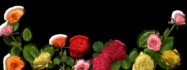 五颜六色的玫瑰花花堆透明植物素材