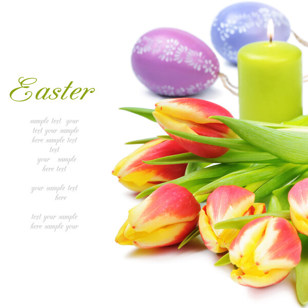 复活节彩蛋与郁金香图片