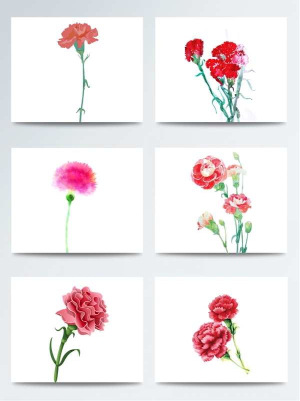 康乃馨花朵图案元素