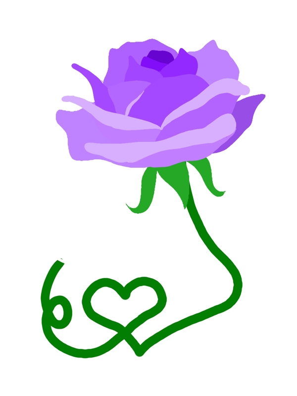 紫色花朵植物插画