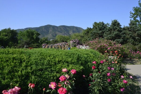 植物园美景