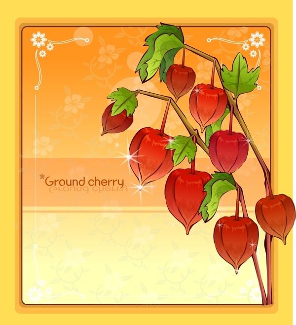 鹅莓野果矢量素材