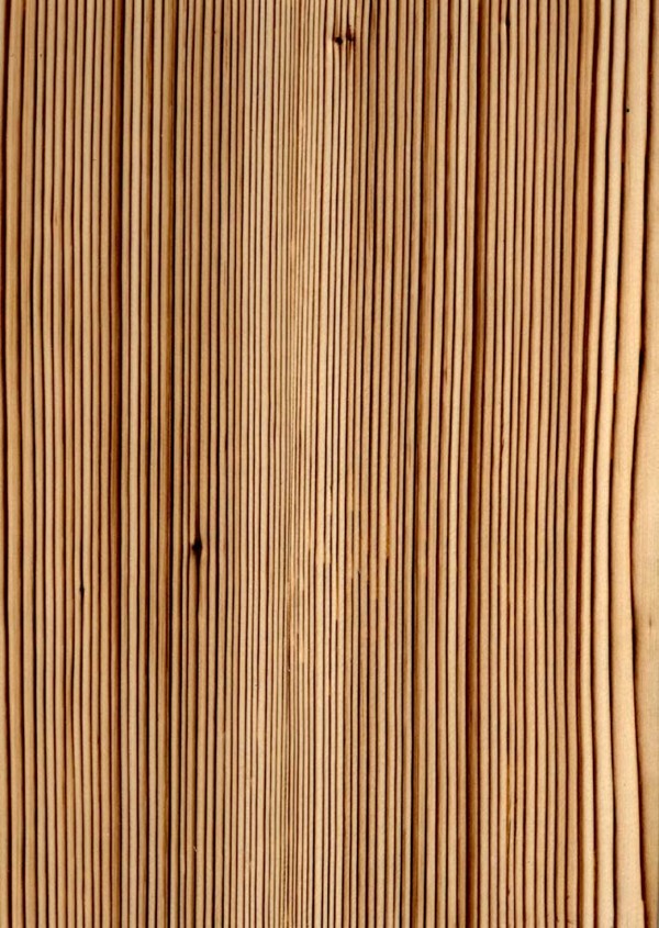 木材木纹浮雕木板装饰板效果图3d素材3