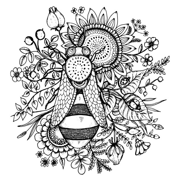 手绘蜜蜂和葵花矢量素材图片