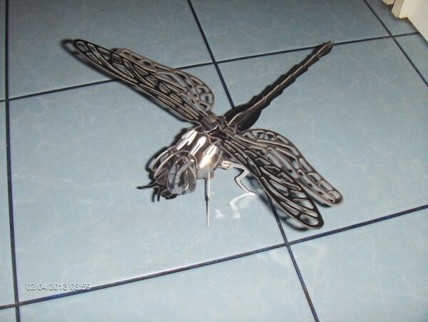 蜻蜓的3D益智房