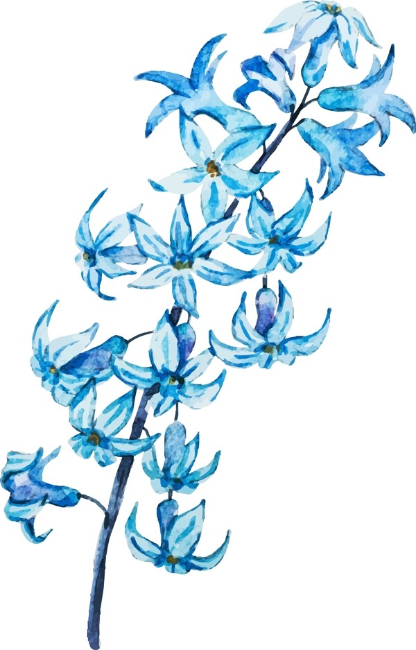 清新蓝色水彩绘植物插画