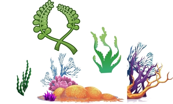 海藻珊瑚